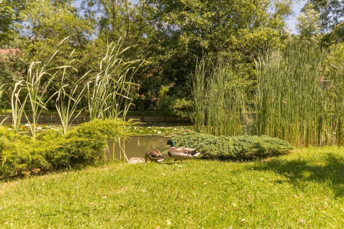 Les Trois Faisans Hotel Bligny-sur-Ouche Luaran gambar
